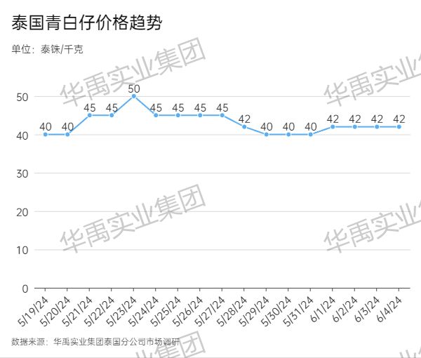 青白仔 .jpg