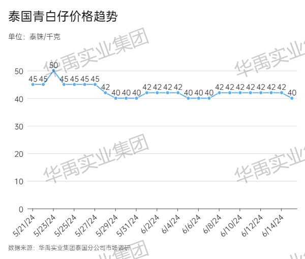 青白仔.jpg