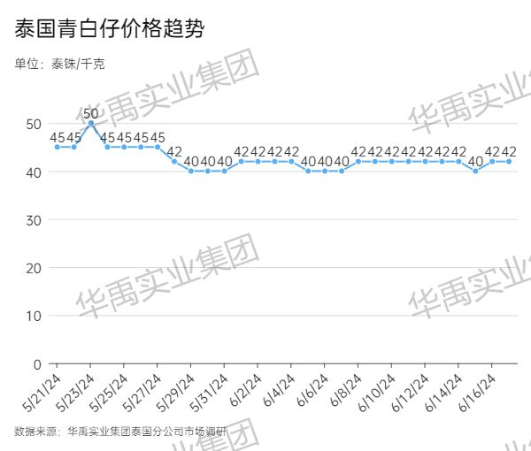 青白仔.jpg