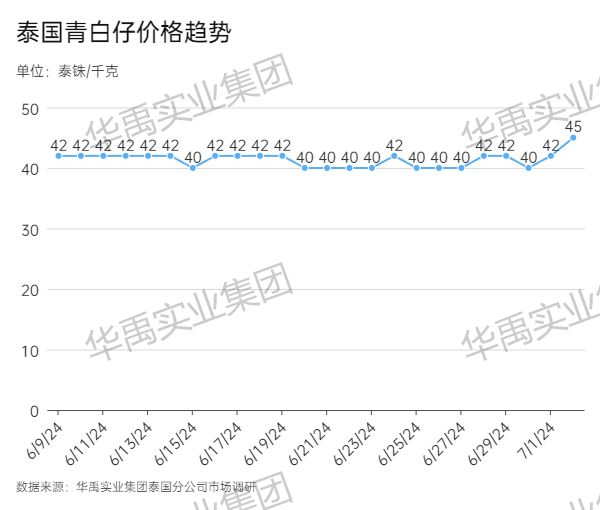 青白仔.jpg