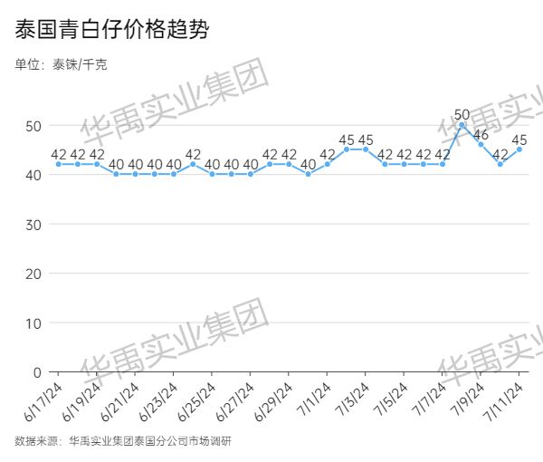 青白仔.jpg