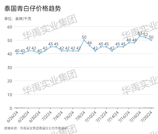 青白仔 (1).jpg