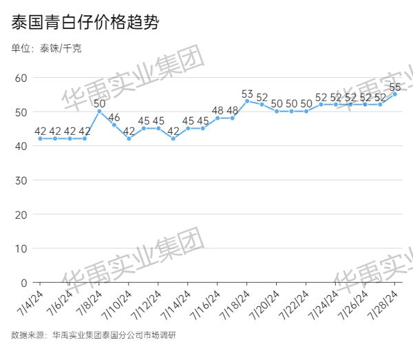 青白仔.jpg