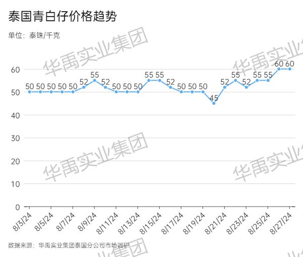 青白仔.jpg