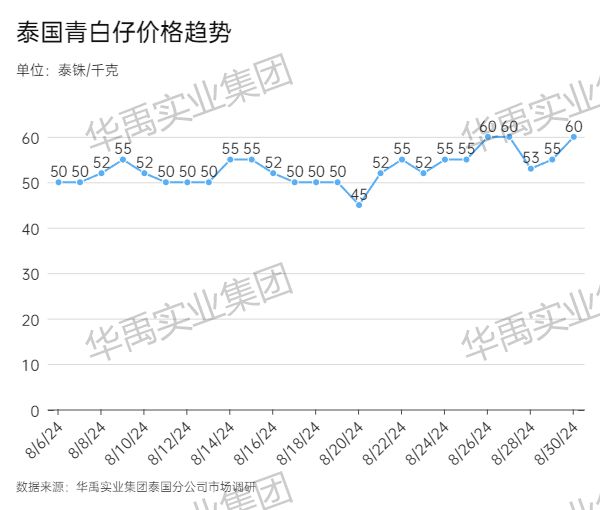 青白仔.jpg