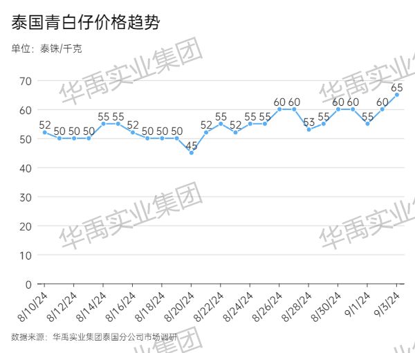 青白仔.jpg