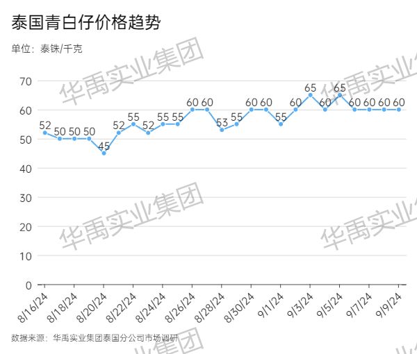 青白仔.jpg