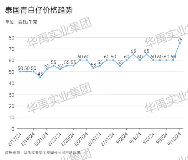 青白仔.jpg